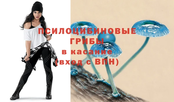 2c-b Магас